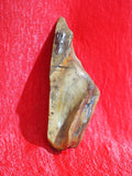 Mezuzah