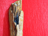 Mezuzah