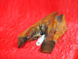 Mezuzah