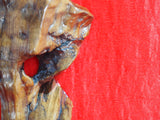 Mezuzah