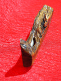 Mezuzah