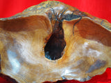Sectional Display Pieces